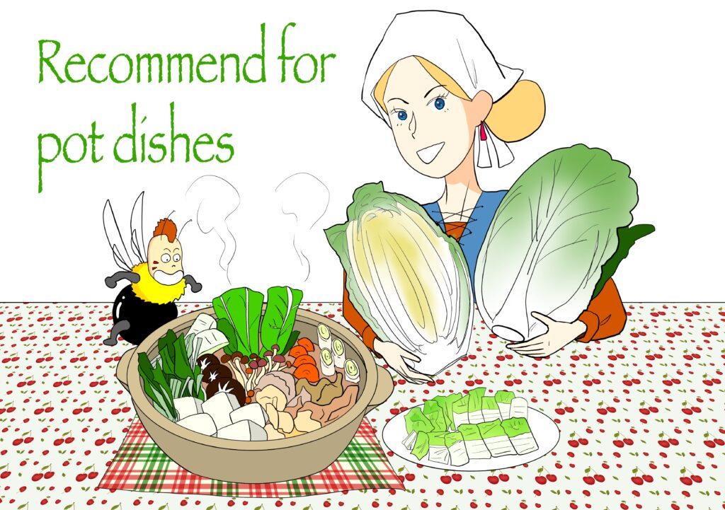 Chinese cabbage 白菜　　ミーシャ＆ハチベエ