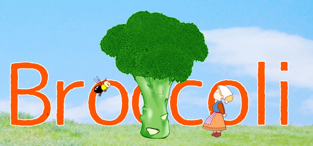 broccoli　ブロッコリー