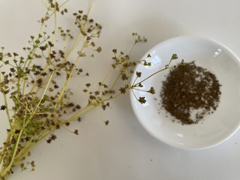 Chinese celery 芹菜(キンツァイ)