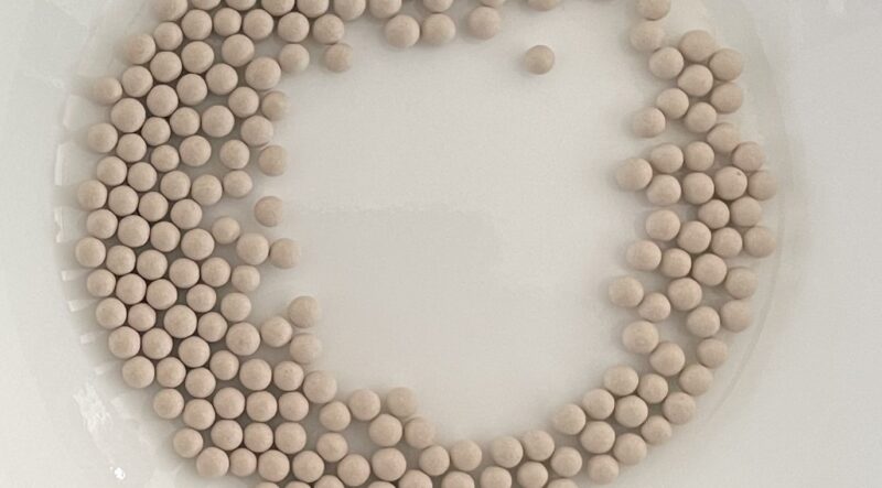 Chinese Mustard　祝蕾　子持ち高菜