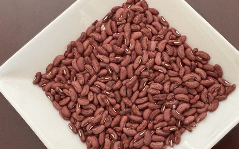 Cowpea 三尺ささげ