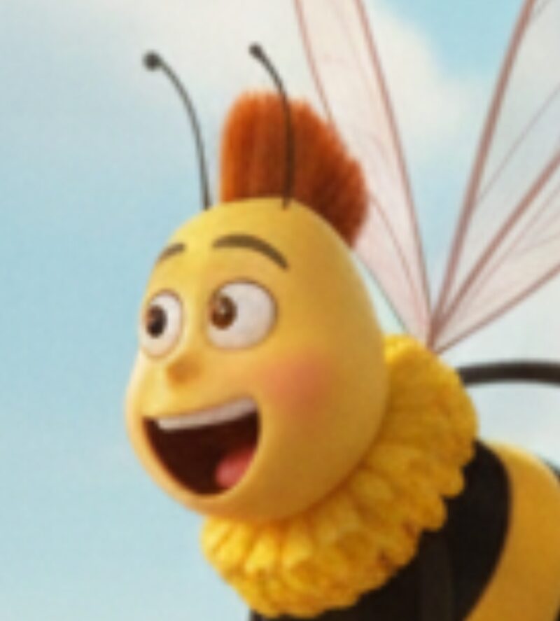 spilanthes スピランサス